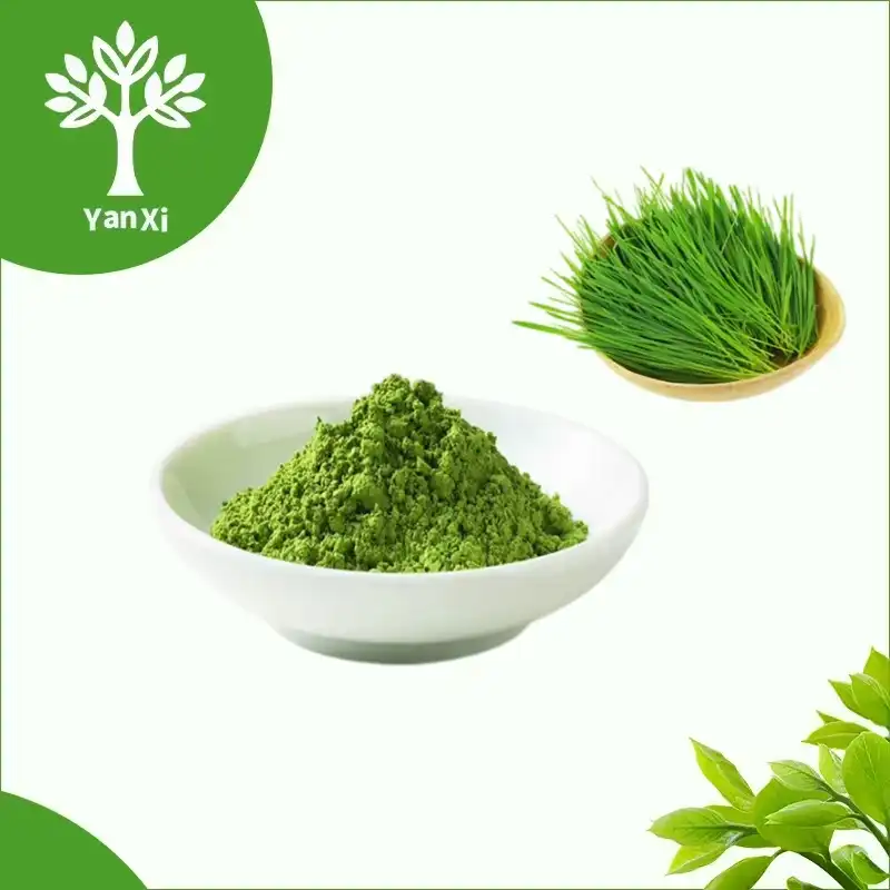 Wheat Grass Juice Powder Bulk Wheat Grass Juice Powder Bulk